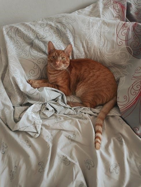 save the cat beat sheet pdf